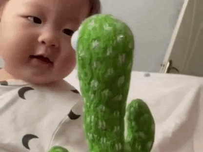 Bailarín Cactus Recargable